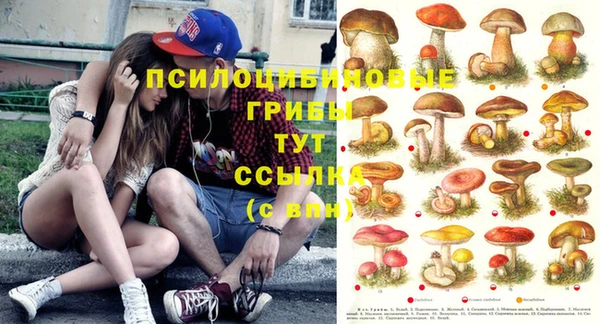 амфетамин Козловка