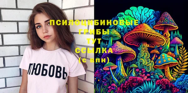 ECSTASY Кодинск