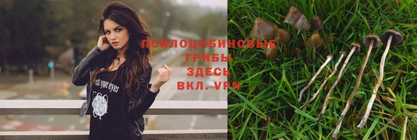 прущая мука Новосибирск