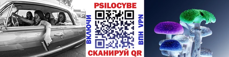 где продают   Новотитаровская  Псилоцибиновые грибы мухоморы 